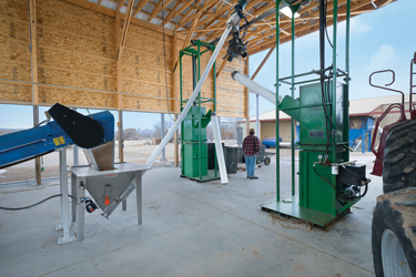 Fruit Grower Turns to Hemp, a Dryer and Conveyor for Higher Yields