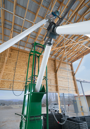 Fruit Grower Turns to Hemp, a Dryer and Conveyor for Higher Yields