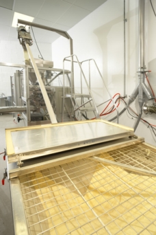 Pharma Powders Fed to Packaging by Automated Conveyors