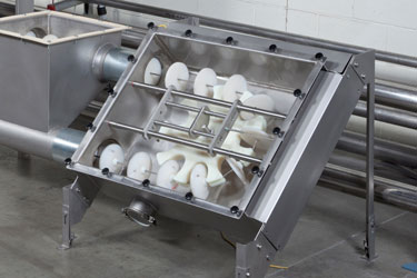 Visible Conveying of Freshly Roasted Beans Creates Unique Customer Experience at Merlo Coffee