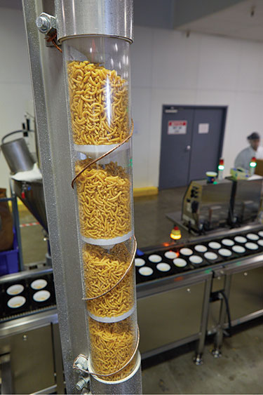 Brittle Pasta Handled Gently, Automatically with Box Dumpers, Tubular Cable Conveyors