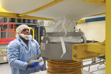 Food Ingredient Distributor Enhances New Manufacturing Revenue Stream with Bulk Bag Handling Equipment