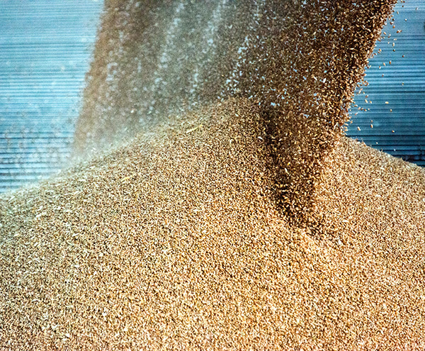 Grain Products Industry