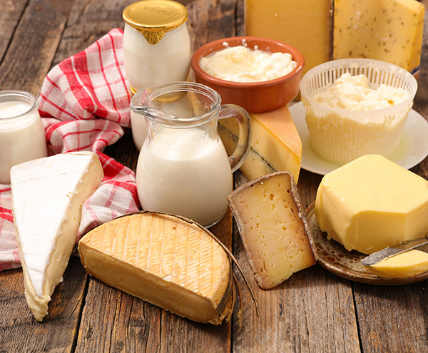 Dairy Products Industry